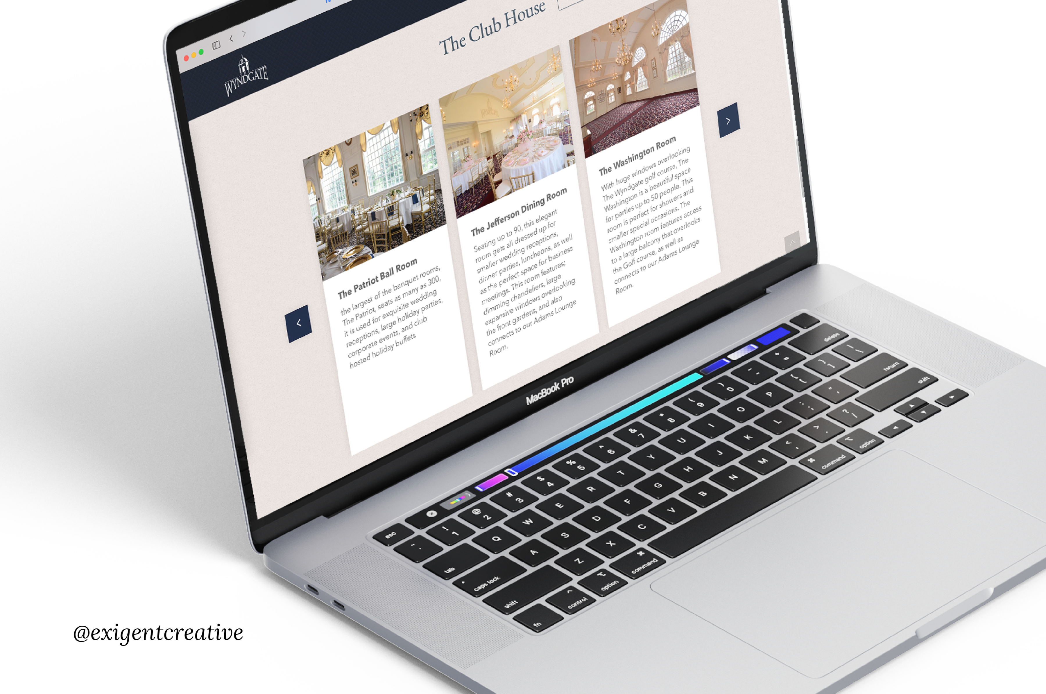 professional website development